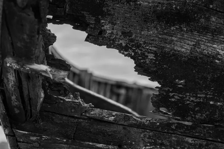 Photograph by Andrea Lazzarini