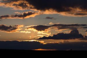 IMG_1248